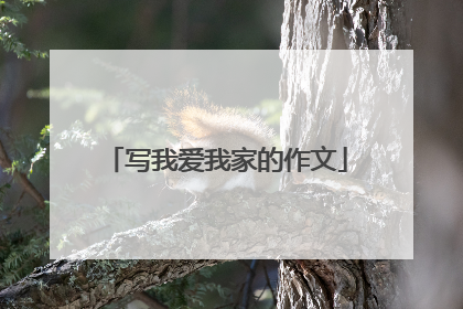 写我爱我家的作文