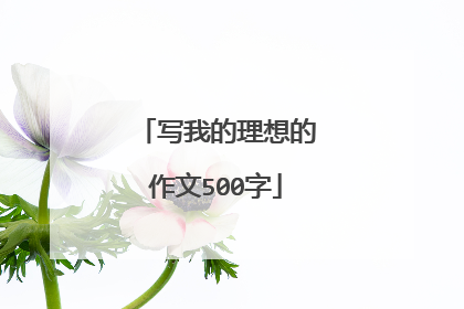 写我的理想的作文500字