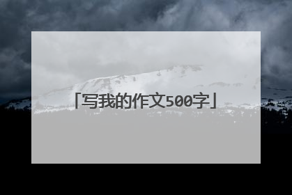 写我的作文500字