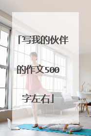 写我的伙伴的作文500字左右