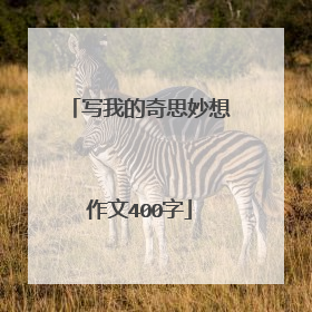 写我的奇思妙想作文400字