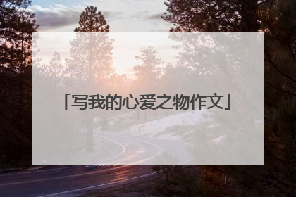 写我的心爱之物作文