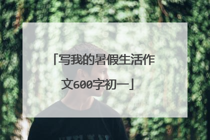 写我的暑假生活作文600字初一