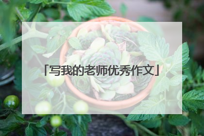 写我的老师优秀作文