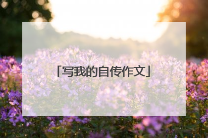 写我的自传作文