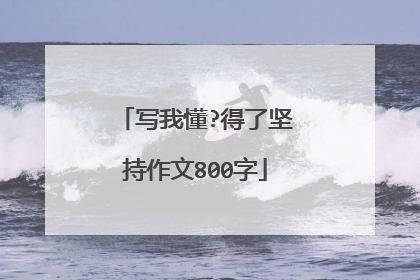 写我懂?得了坚持作文800字