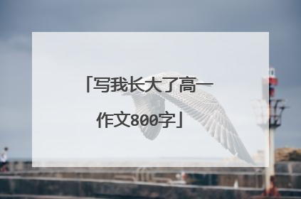 写我长大了高一作文800字