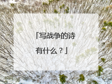 写战争的诗有什么?