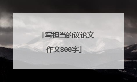 写担当的议论文作文800字