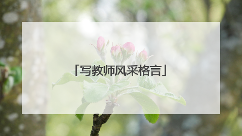 写教师风采格言