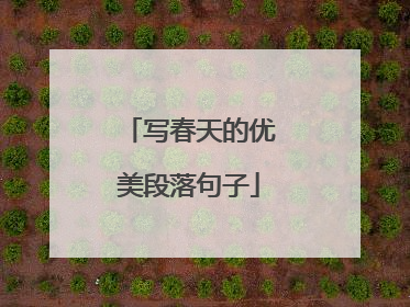 写春天的优美段落句子