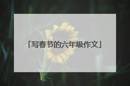 写春节的六年级作文