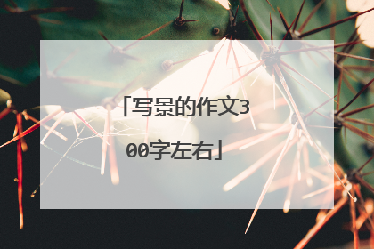 写景的作文300字左右