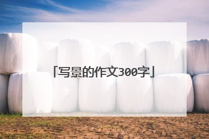 写景的作文300字