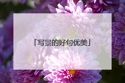 写景的好句优美