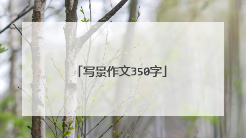 写景作文350字