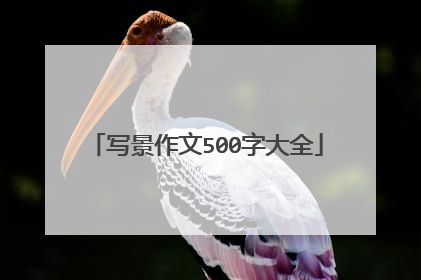 写景作文500字大全