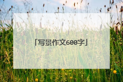 写景作文600字