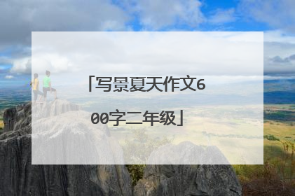 写景夏天作文600字二年级