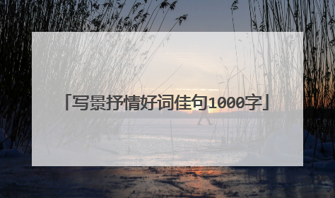 写景抒情好词佳句1000字