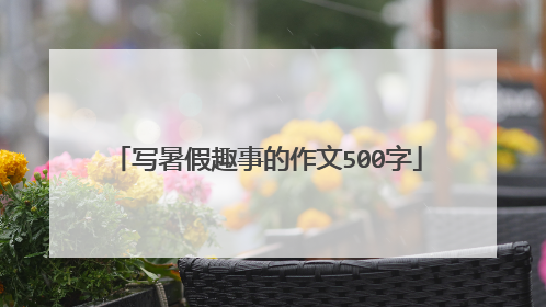 写暑假趣事的作文500字
