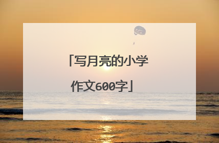 写月亮的小学作文600字