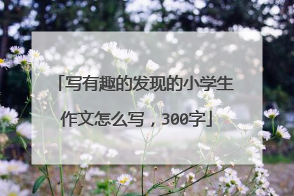 写有趣的发现的小学生作文怎么写，300字