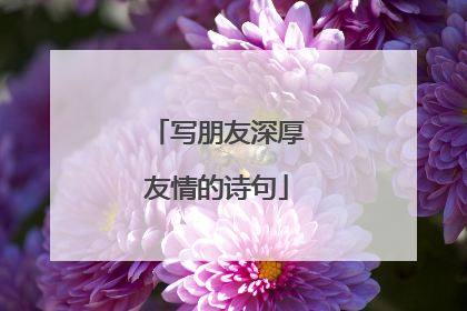 写朋友深厚友情的诗句