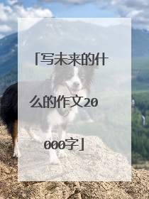 写未来的什么的作文20000字