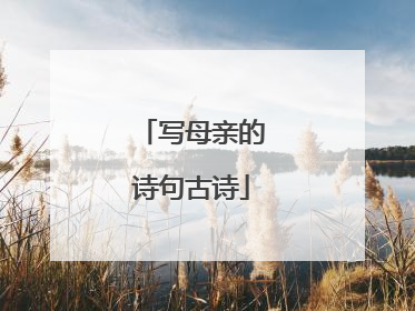 写母亲的诗句古诗