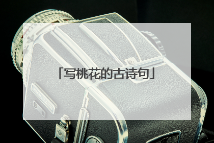 写桃花的古诗句