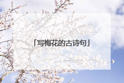 写梅花的古诗句