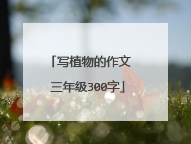 写植物的作文 三年级300字