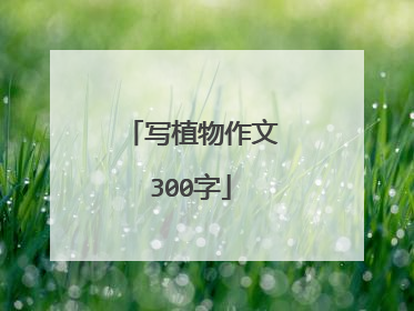 写植物作文300字