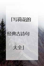 写荷花的经典古诗句大全