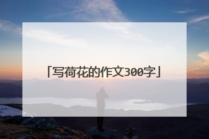 写荷花的作文300字