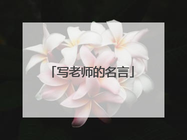 写老师的名言