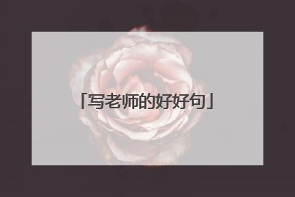 写老师的好好句