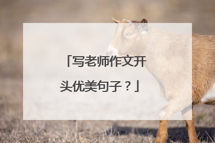写老师作文开头优美句子？