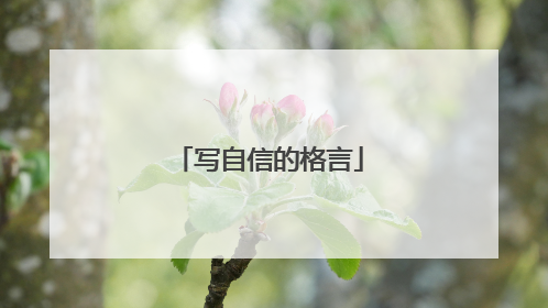 写自信的格言