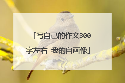 写自己的作文300字左右 我的自画像