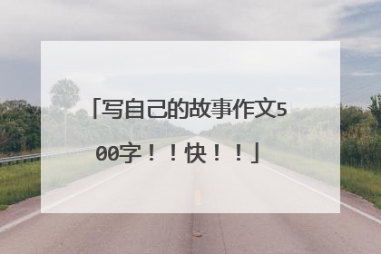 写自己的故事作文500字！！快！！