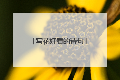 写花好看的诗句