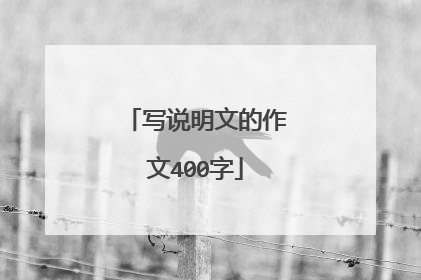 写说明文的作文400字