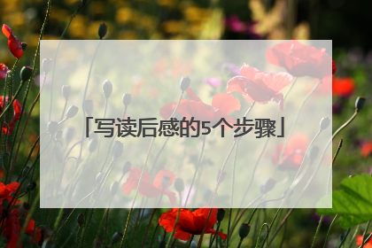 写读后感的5个步骤