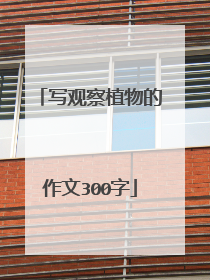 写观察植物的作文300字