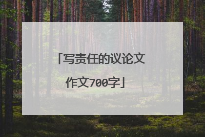写责任的议论文作文700字