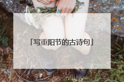 写重阳节的古诗句