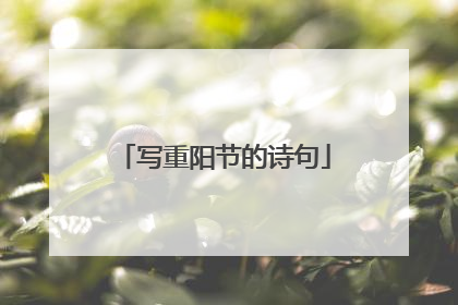 写重阳节的诗句