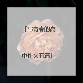写青春的高中作文五篇